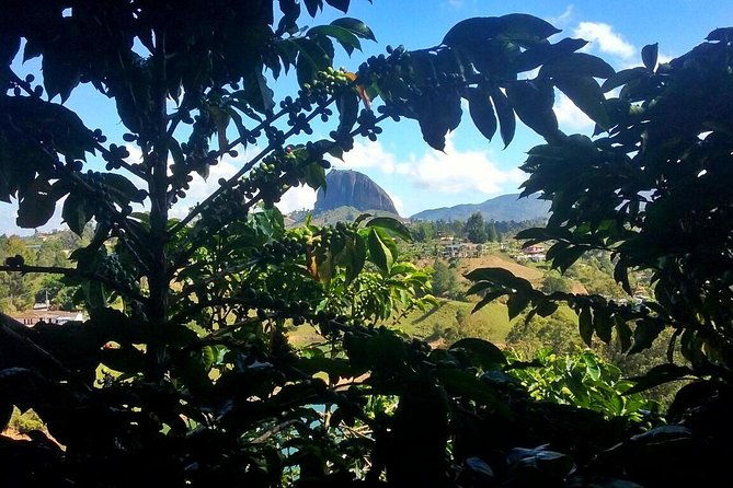 guatape-rock-coffee-tour-picturesque-town-private-tour