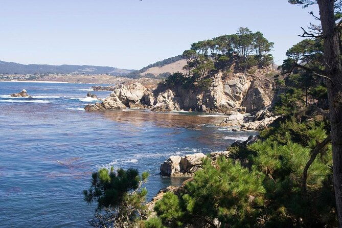 guided-2-hour-point-lobos-nature-walk