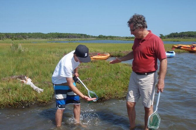 guided-assateague-kayaking-and-wildlife-discovery-tour