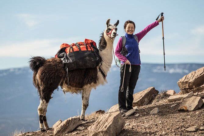 guided-awesome-2-hour-llama-hikes-private-experience