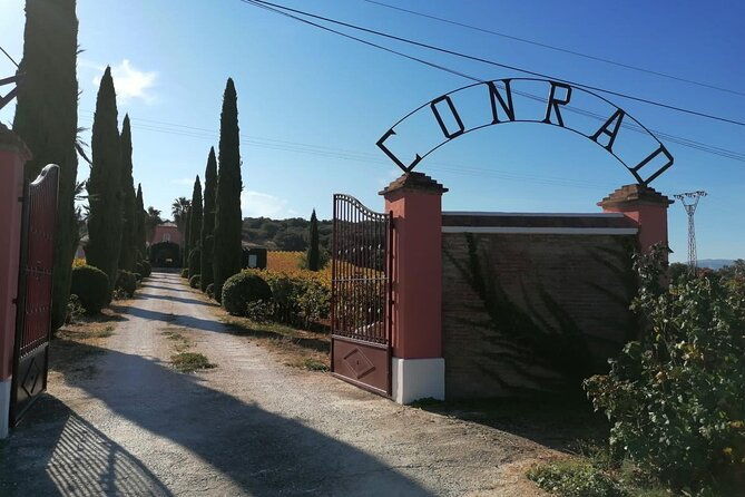 guided-cellar-tour-and-wine-tasting