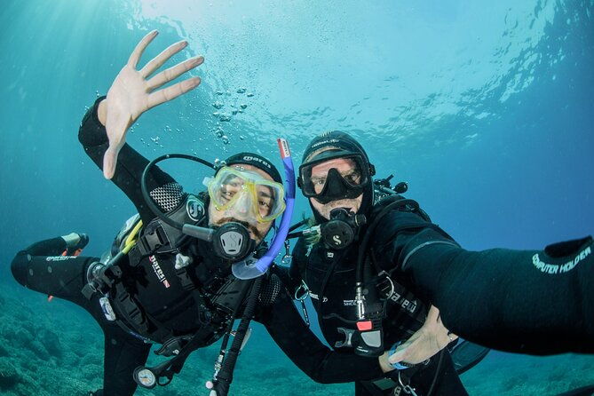 guided-diving-for-beginners-without-certification-from-sorrento