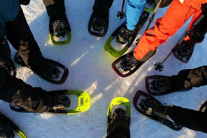 guided-easy-snowshoeing-with-a-visit-to-local-cafe