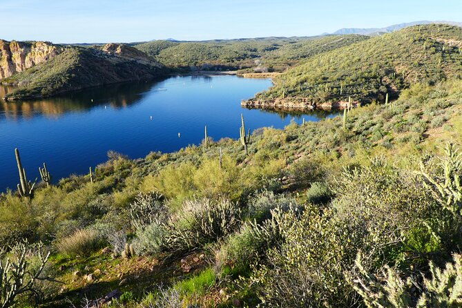 guided-hike-saguaro-lake-view