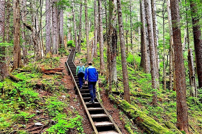 guided-hike-tongass-national-forest
