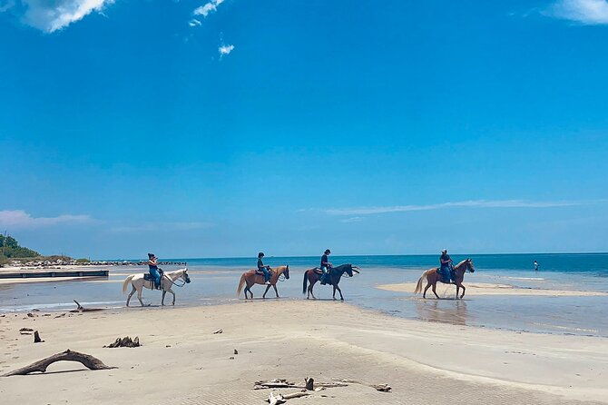 guided-horseback-riding-on-the-pristine-waters-of-miami-florida