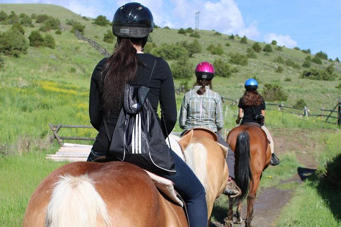 guided-horseback-trek-through-blue-flower-trail-2