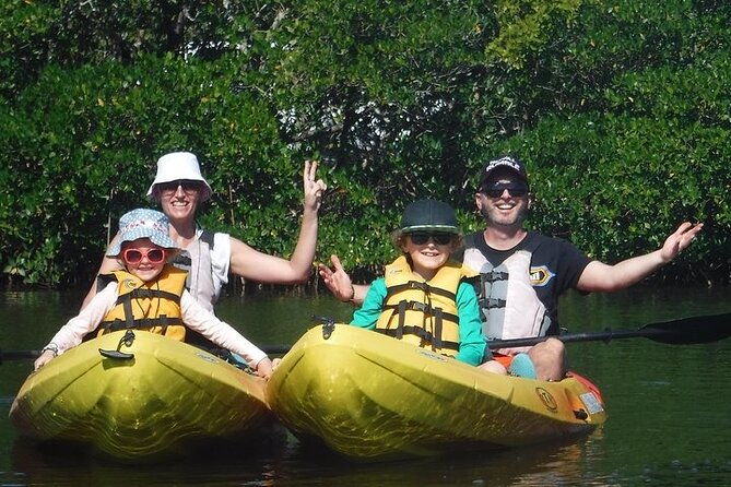guided-kayak-dolphin-eco-tour-in-pelican-bay-2