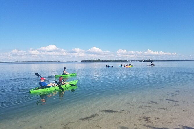 guided-kayak-ecotour-of-beautiful-shell-key-preserve