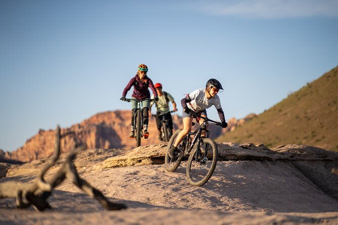 guided-mountain-bike-tours-zion