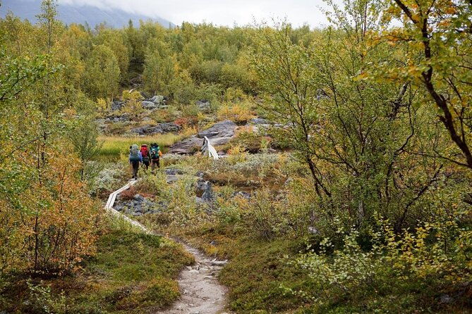 guided-reindeer-farm-visit-and-one-hour-sledge-safari