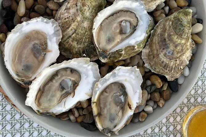 guided-rooftop-oyster-tasting-with-an-oyster-sommelier