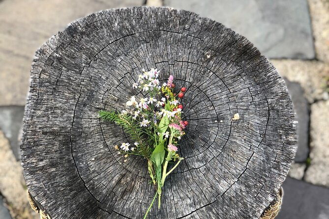 guided-shared-group-forest-bathing-session-in-serene-woodland-park