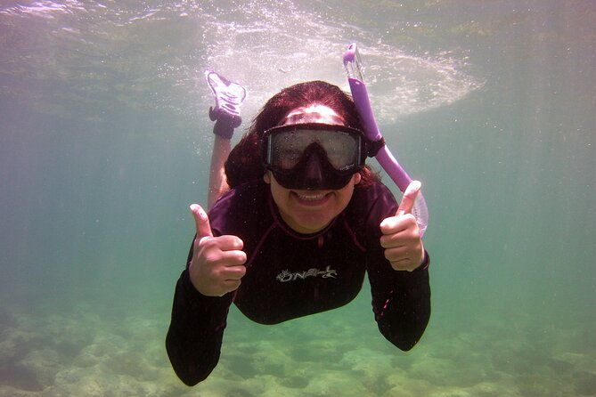 guided-snorkel-experience-in-fort-lauderdale