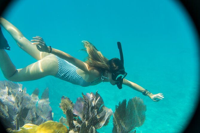 guided-snorkel-morning-sail-small-groups-with-honest-eco