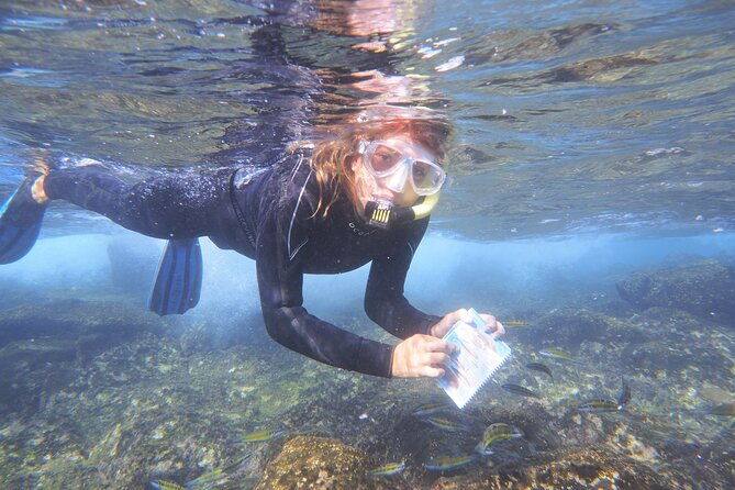 guided-snorkeling-experience