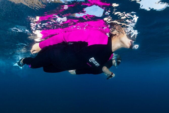 guided-snorkeling-in-the-portofino-marine-protected-area