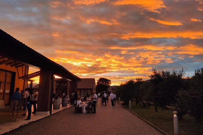guided-tour-and-wine-tasting-in-the-sandro-de-bruno-winery