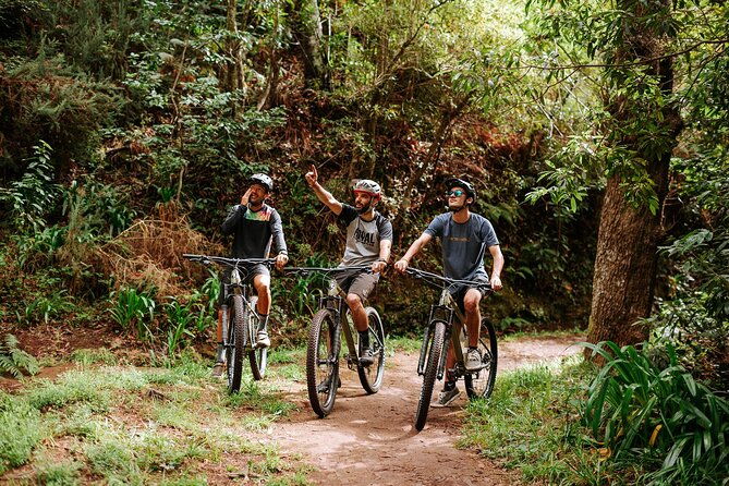 guided-tour-electric-mountain-bike-experience
