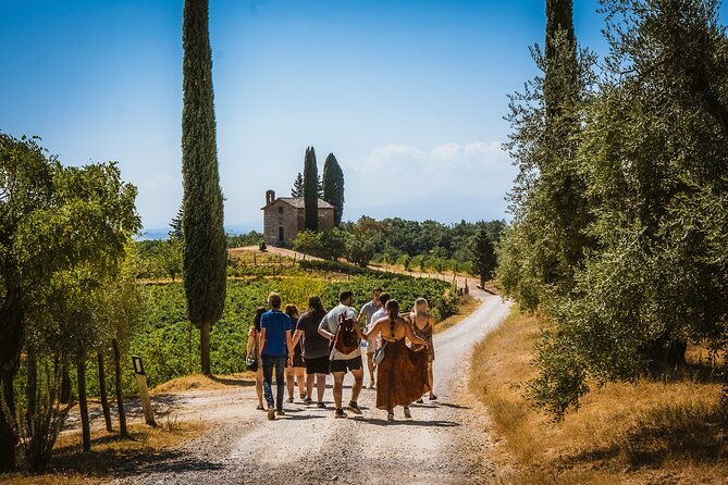 guided-tour-of-the-cellars-with-wine-tasting-and-lunch