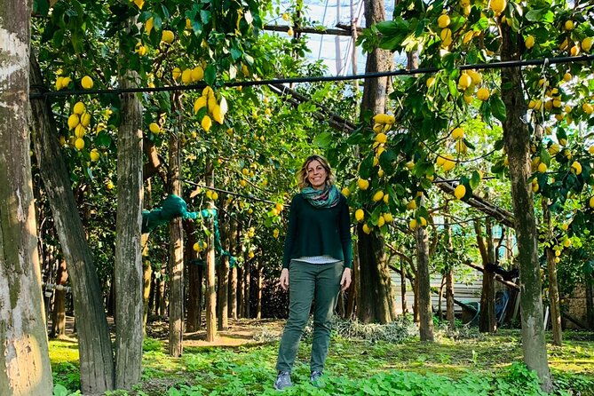 guided-tour-of-the-history-and-tradition-of-the-sorrento-lemon