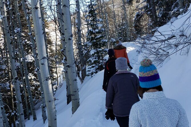 guided-uinta-forest-3-mile-hike-w-fire-lunch-charcuterie-stop