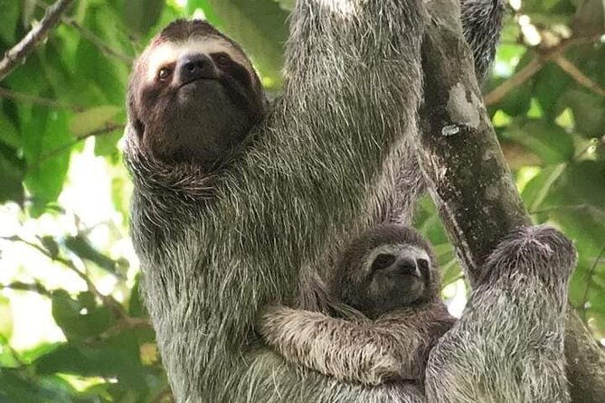 guided-visit-to-manuel-antonio-national-park