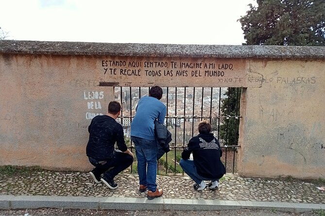 guided-walking-tour-with-panoramic-views-and-terraces-of-granada