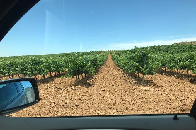 haft-day-winery-tour-from-zaragoza-2