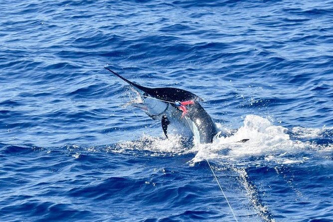 half-day-afternoon-angler-charter-2