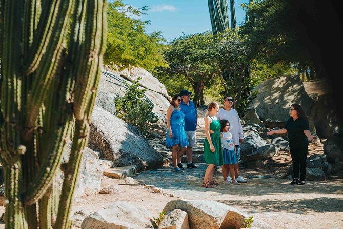 half-day-aruba-island-tour-from-oranjestad