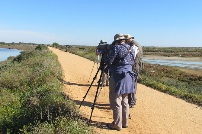 half-day-birdwatching-around-faro