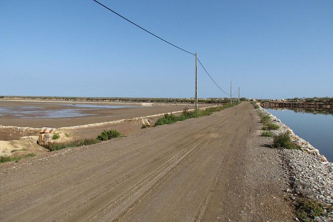 half-day-birdwatching-around-tavira