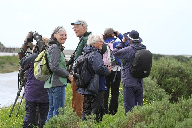 half-day-birdwatching-at-the-abicada-marshed