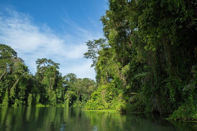 half-day-canoe-and-hike-in-to-tortuguero-national-park