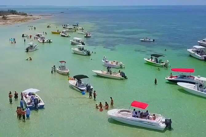 half-day-charter-sandbar-snorkeling-and-eco-adventure-2