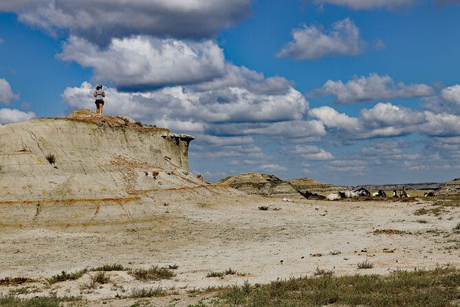 half-day-chasing-horses-wildlife-photography-experience-in-north-dakota