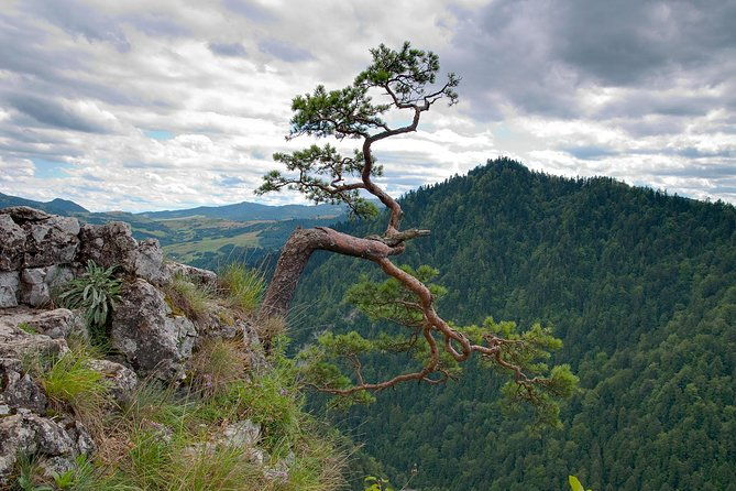 half-day-dunajec-river-rafting-tour-from-krakow
