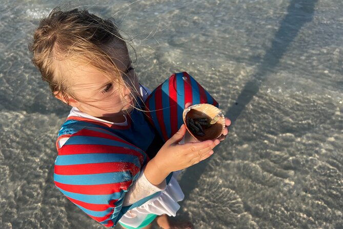 half-day-eco-and-dolphin-boat-tour-in-siesta-key