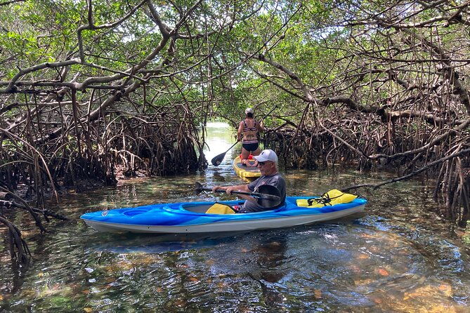 half-day-excursion-to-johns-pass-sandbar-mangrove-tunnel