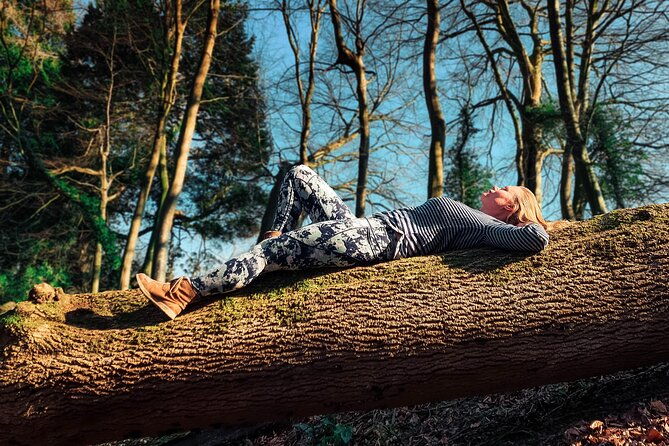 half-day-forest-bathing-and-yoga-in-brightons-woodlands-2
