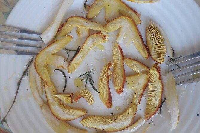 half-day-gastronomic-wild-walk-in-girona-3
