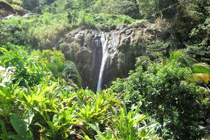 half-day-grenada-sunshine-highlights-tour