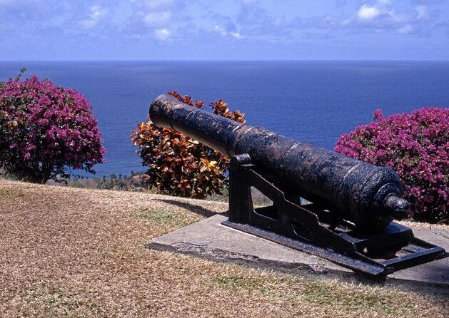 half-day-group-tour-to-tobago-atlantic-coast