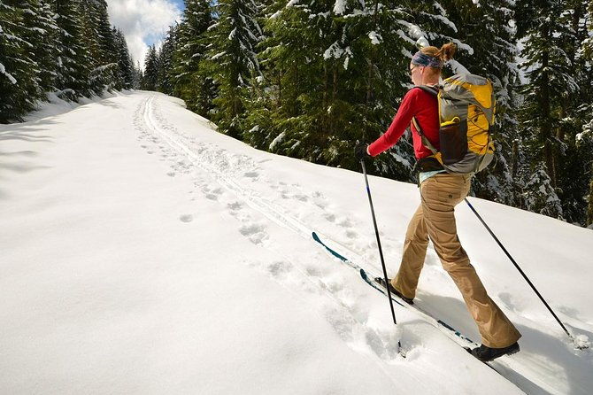 half-day-guided-backcountry-ski-touring-experience-near-incline-village