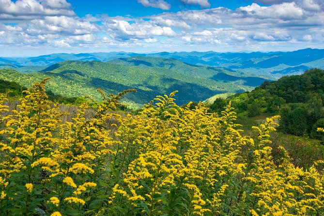 half-day-hike-with-long-range-views-from-asheville