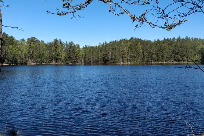 half-day-hiking-tour-in-beautiful-estonian-nature-2
