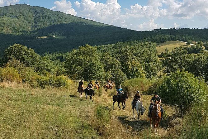half-day-horseback-ride-in-tuscany