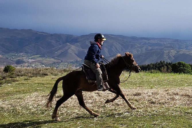 half-day-horseback-riding-tour-around-sacsayhuaman-park