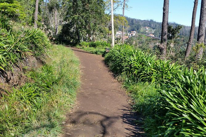 half-day-paradise-valley-walking-tour